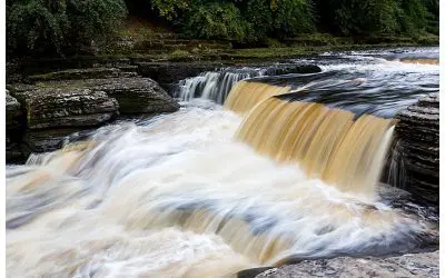 Cheese and Waterfalls