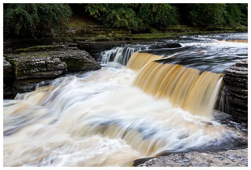 Cheese and Waterfalls