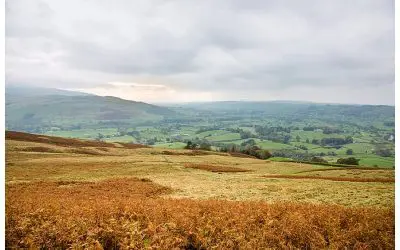 Walking in Sedbergh