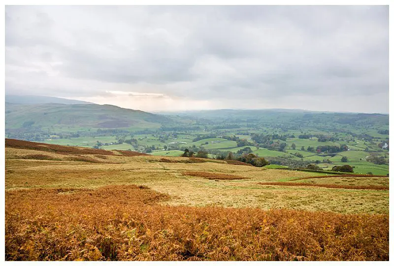 Walking in Sedbergh