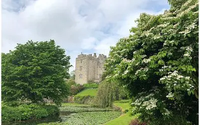 Sizergh Castle and Garden