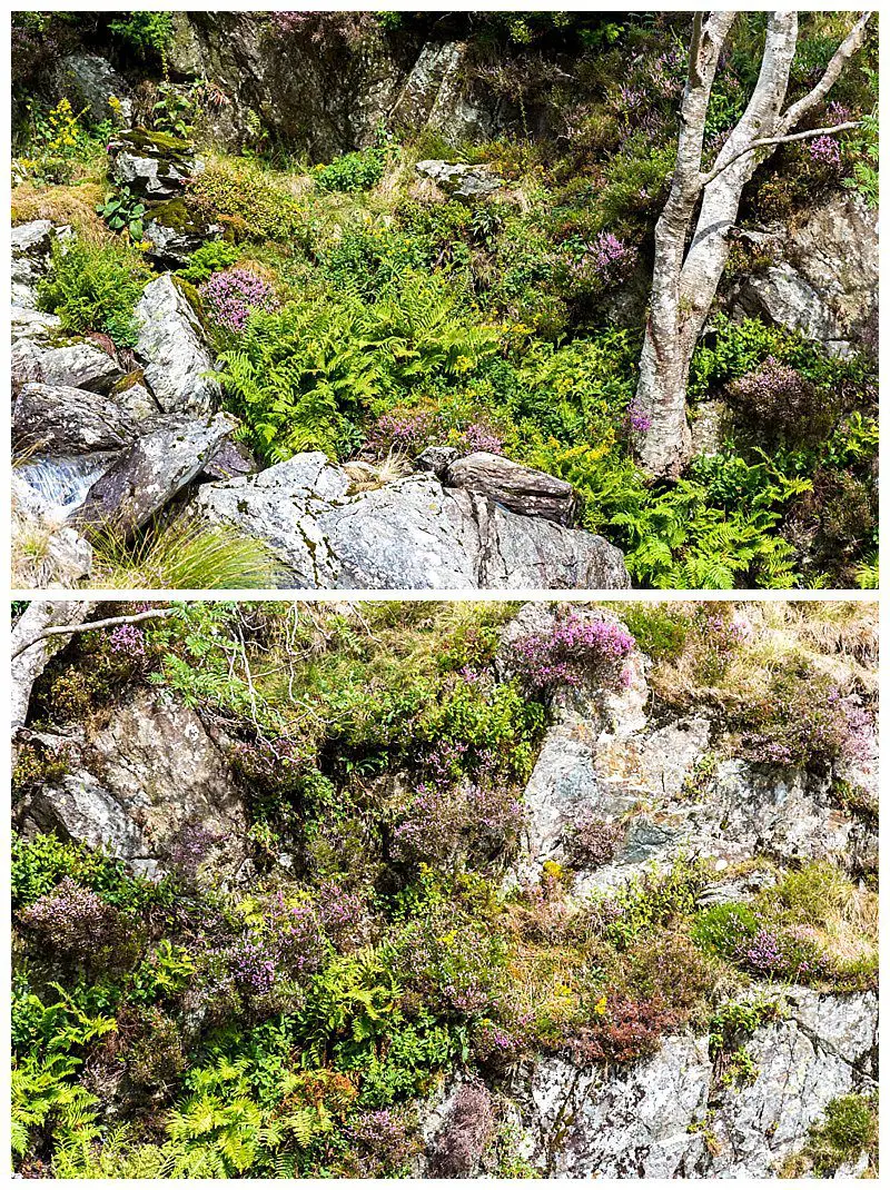 Cumbria,Fine Art Photography,Haweswater Reservoir,Joanne Withers Photography,Lake District,Lake District Landscapes,Photographer Cumbria,Small Water Crag,Small Water Tarn,St Marks Stays,