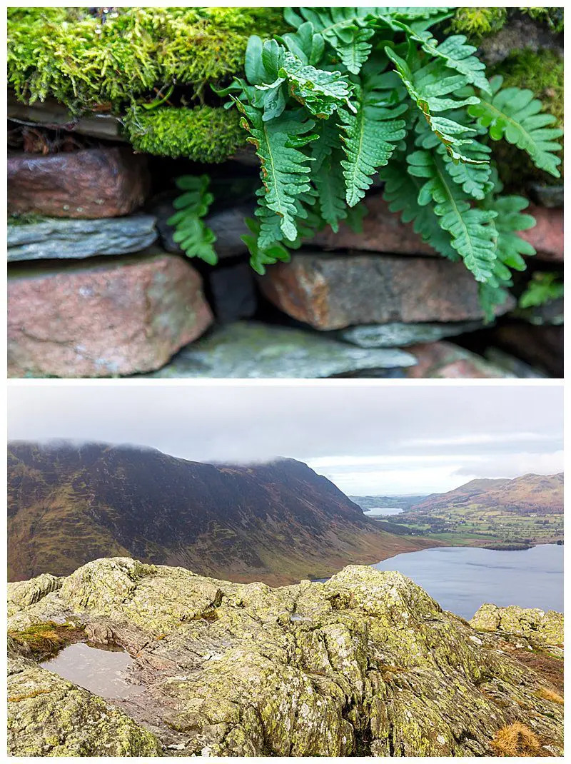 Christmas,Cumbria,Family,Fine Art Photography,Holidays,Joanne Withers Photography,Lake District,Photographer Cumbria,St Marks Stays,Winter,