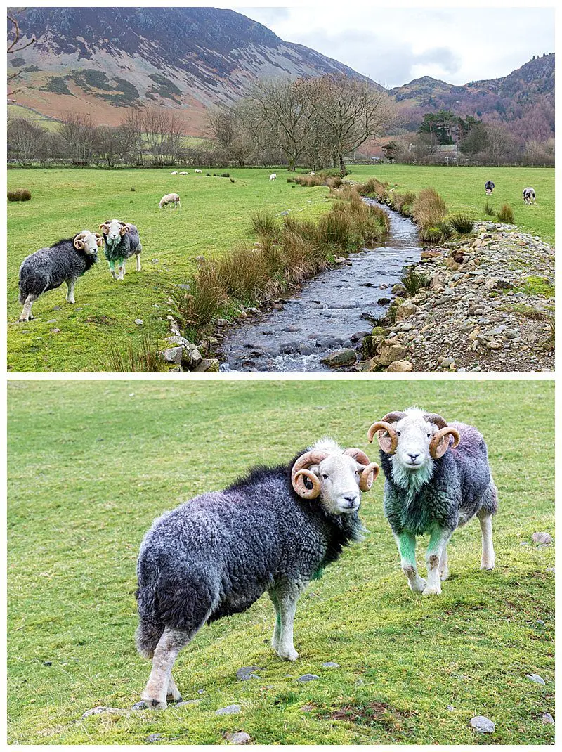 Christmas,Cumbria,Family,Fine Art Photography,Holidays,Joanne Withers Photography,Lake District,Photographer Cumbria,St Marks Stays,Winter,