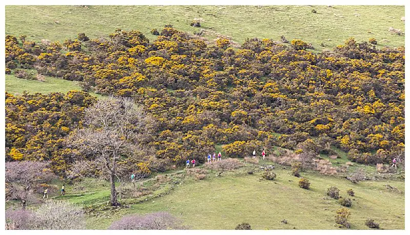 The Sedbergh Wilson Run Course