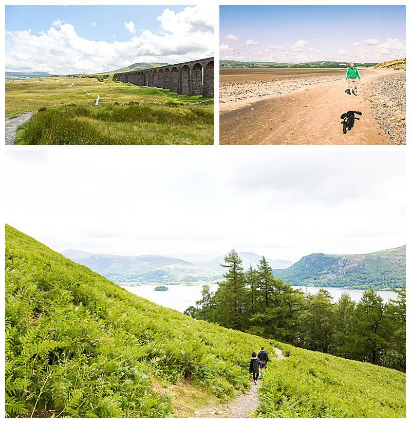 Ribblehead-Viaduct-Beach-Dog-Lake-District.jpg