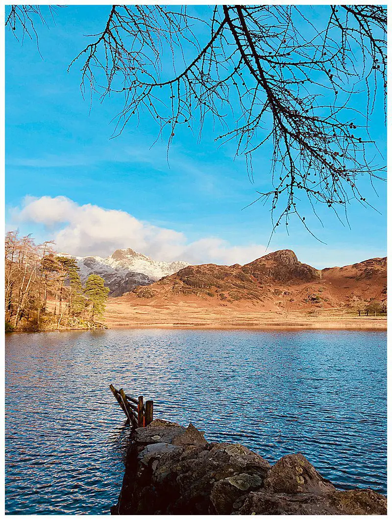 Blea-Tarn-Shoreline.jpg