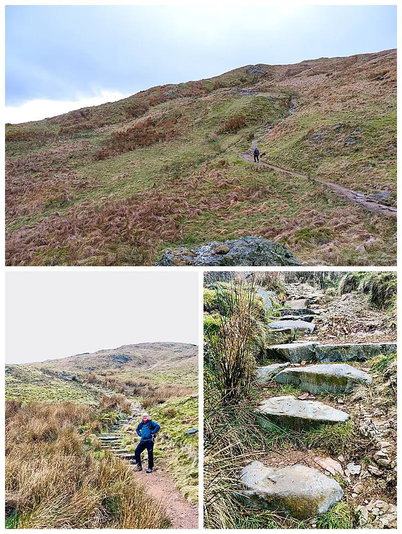 Path-Up-To-Wansfell-Pike