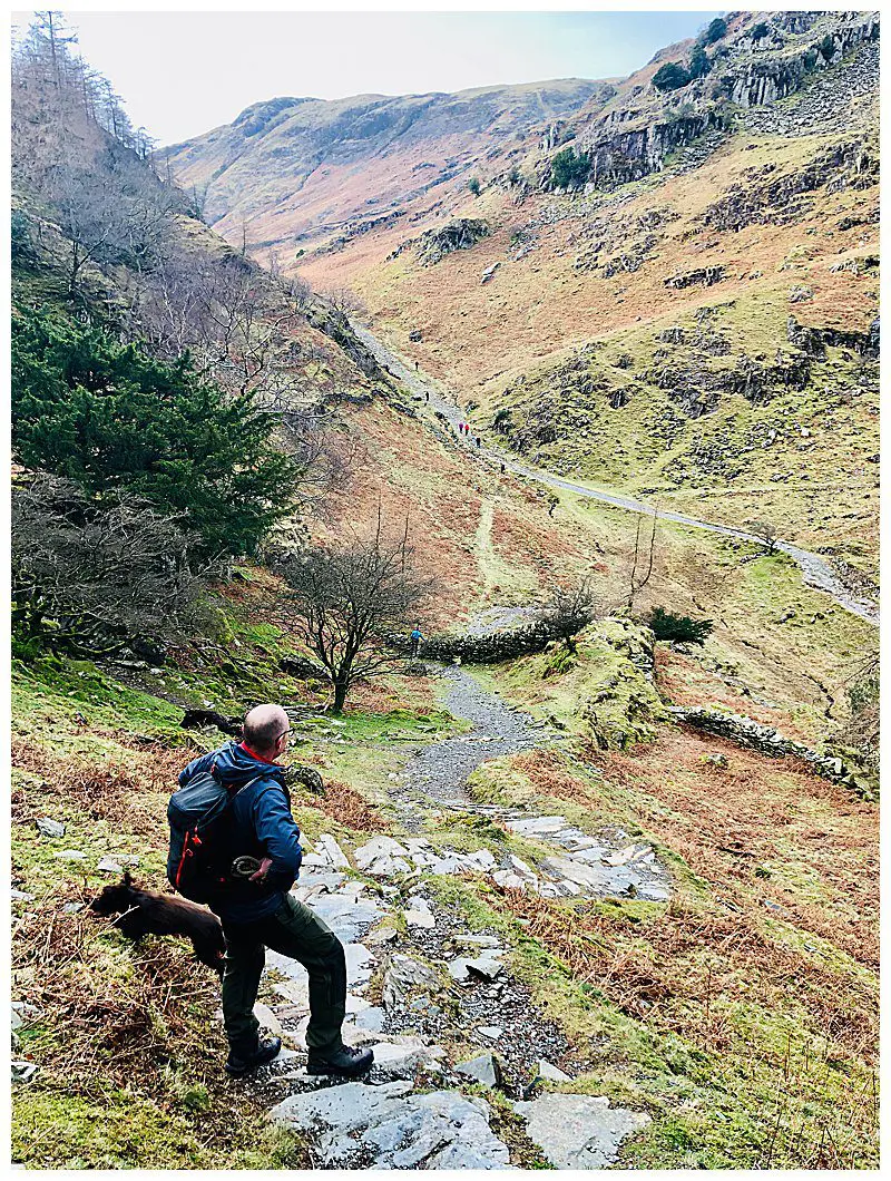 Hikers-And-Runners-on-Paths.jpg