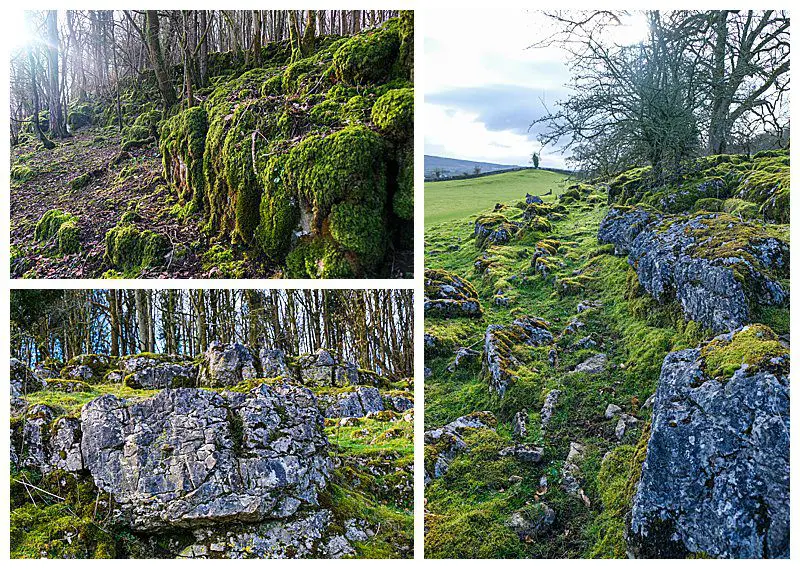 Limestone Boulders Covered in Moss