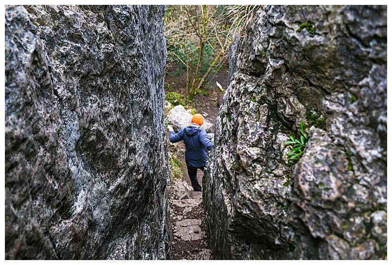 Walking Down The Fairy Steps