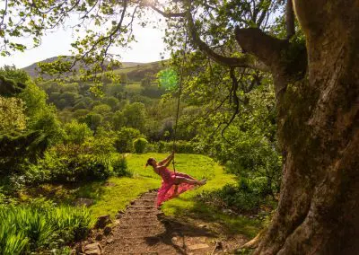 Garden-Tree-Swing