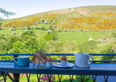 Howgill Fells Views