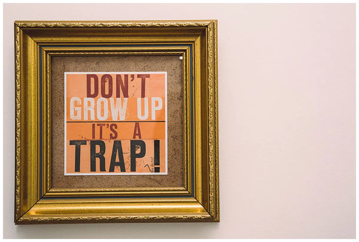 Don't grow up it's a trap artwork