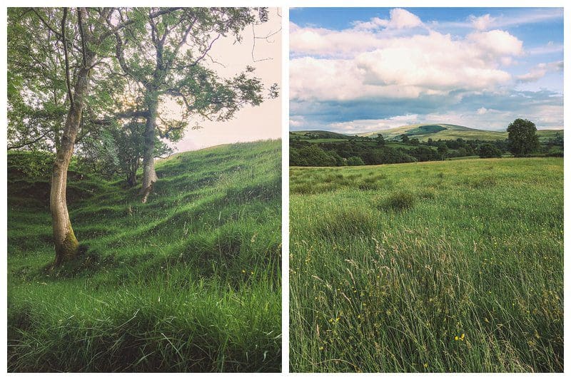 British Summer,Cautley,Countryside,Cumbria,Joanne Withers Photography,Sedbergh,St Marks Stays,Walking,Yorkshire Dales, Walking Cautley to Sedbergh