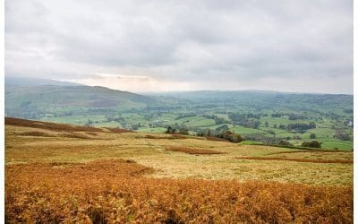 Walking in Sedbergh