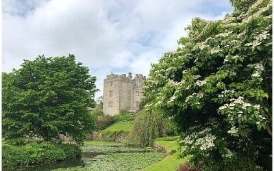 Sizergh Castle and Garden
