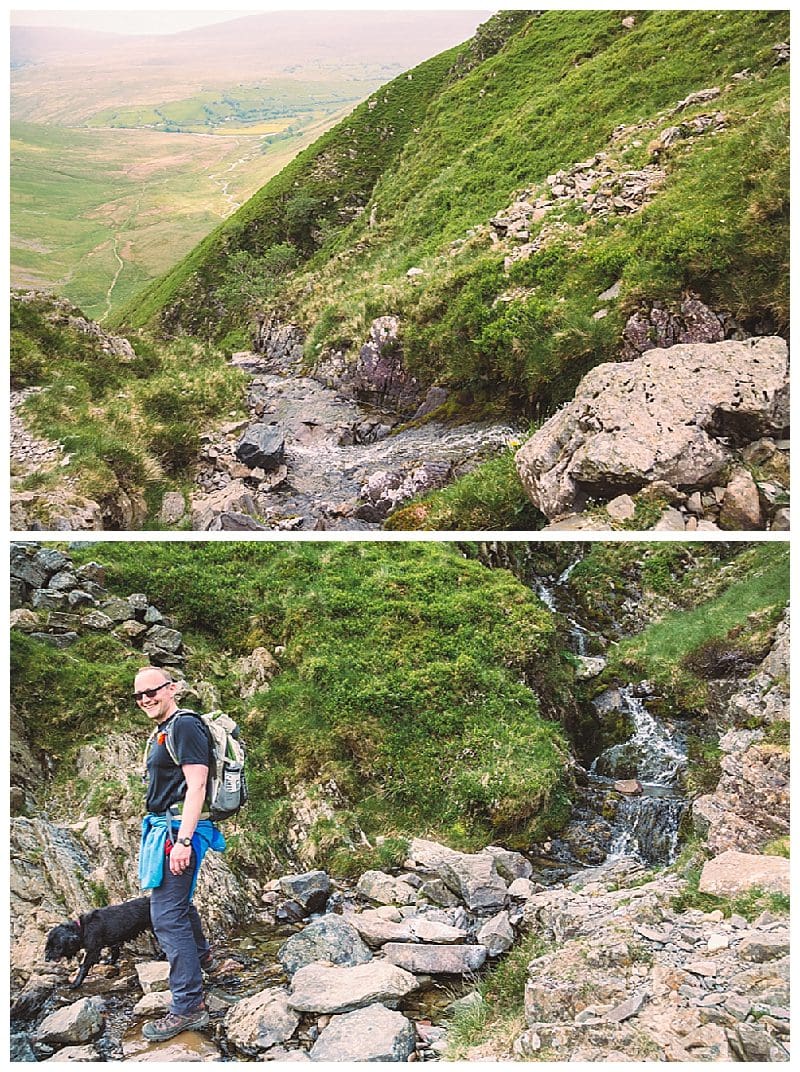 2019-06-07_0011.jpg 2019-06-07_0011.jpg