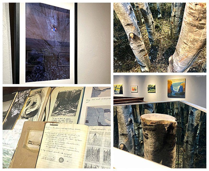 Festival-Art-Exhibitions.jpg Festival-Art-Exhibitions