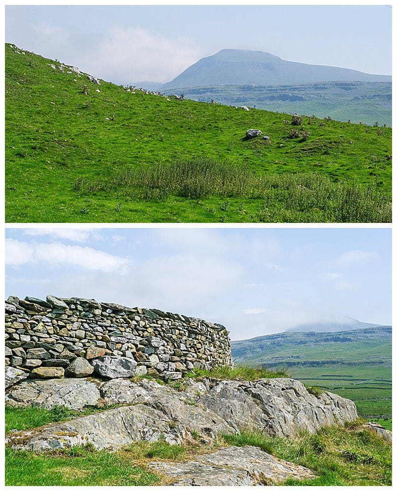 View-Of-Ingleborough View-Of-Ingleborough