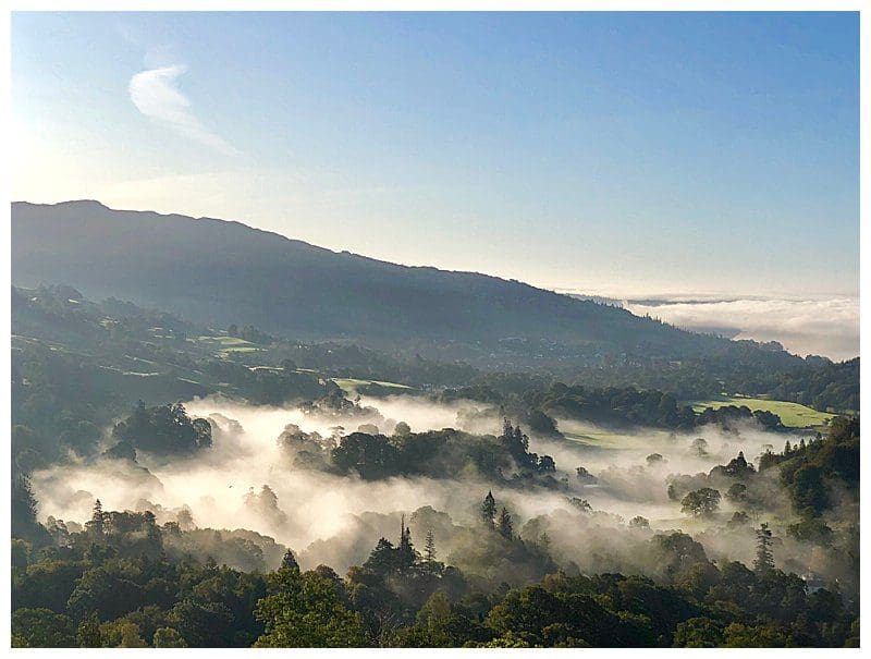 Lake-District-Misty-Treetops-Landscape.jpg Lake District landscape with mist over the tree tops