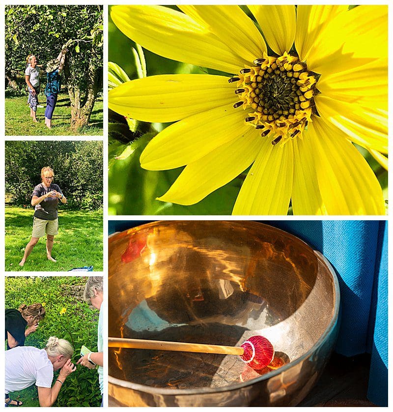 Using-Senses-Outside-In-Nature.jpg Using-Senses-Outside-In-Nature.jpg