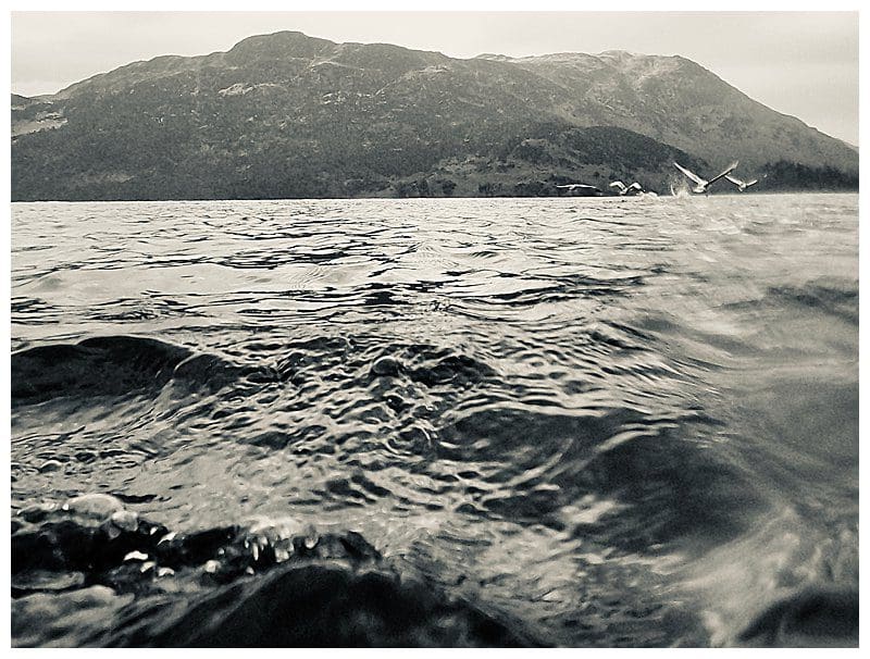 Bird-Flight-Ullswater.jpg Bird-Flight-Ullswater.jpg